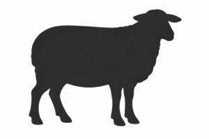 ChatGPT Image Feb 23, 2026, 12_29_16 PM