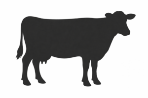 ChatGPT Image Feb 23, 2026, 12_31_13 PM